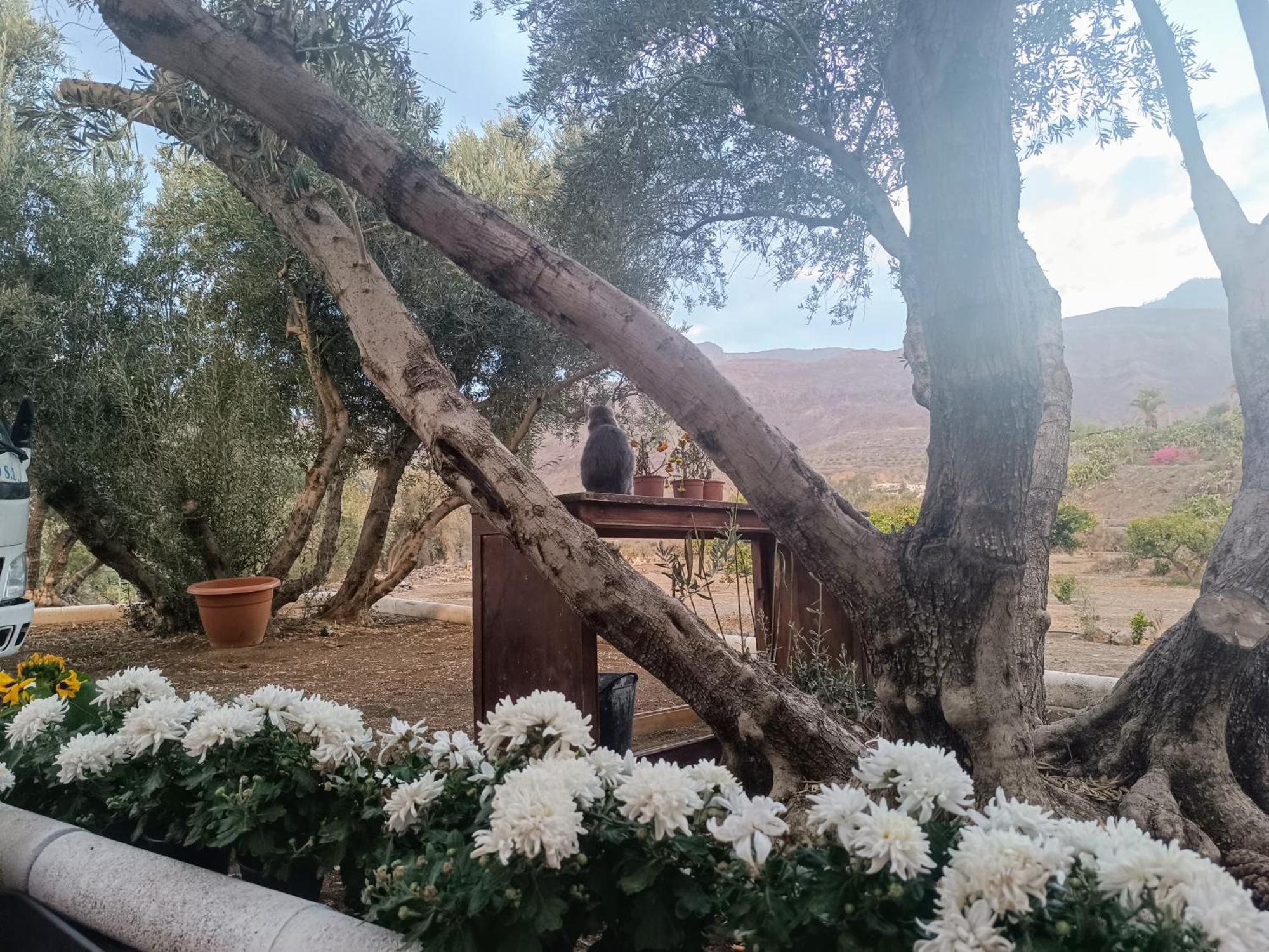 Willa La Casa De La Pradera Santa Lucia Zewnętrze zdjęcie
